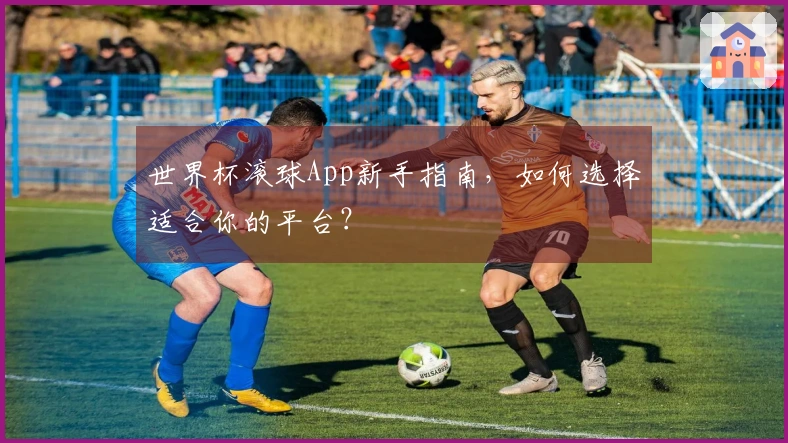 世界杯滚球App新手指南，如何选择适合你的平台？