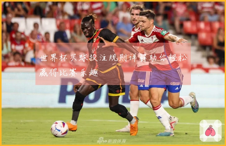 世界杯买球投注规则详解助你轻松赢得比赛乐趣