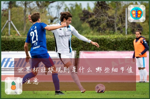 世界杯让球规则是什么 哪些细节值得注意