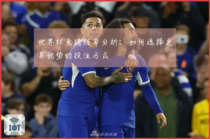 世界杯竞猜赔率分析：如何选择更具优势的投注方式