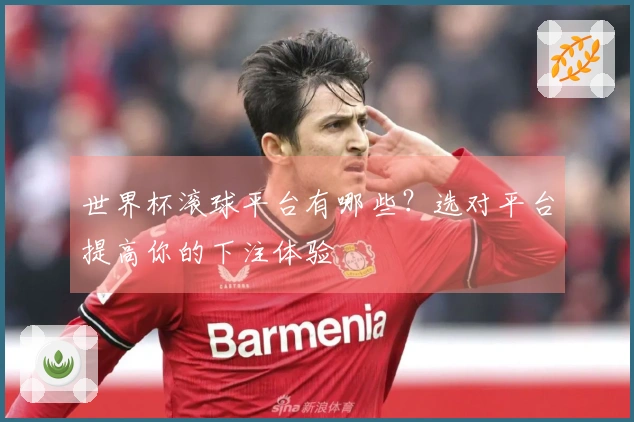 世界杯滚球平台有哪些？选对平台提高你的下注体验