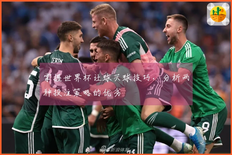 掌握世界杯让球买球技巧，分析两种投注策略的优劣